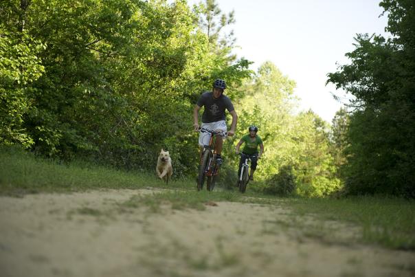 Outdoor Sports