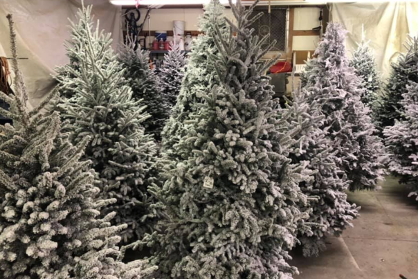 Gay's Tree Farm Snow Flocked