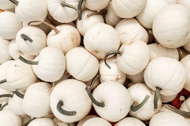 White Pumpkins