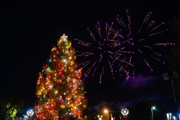 Christmas Tree Lights