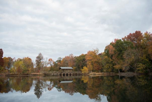 Fall at Brick Pond Park