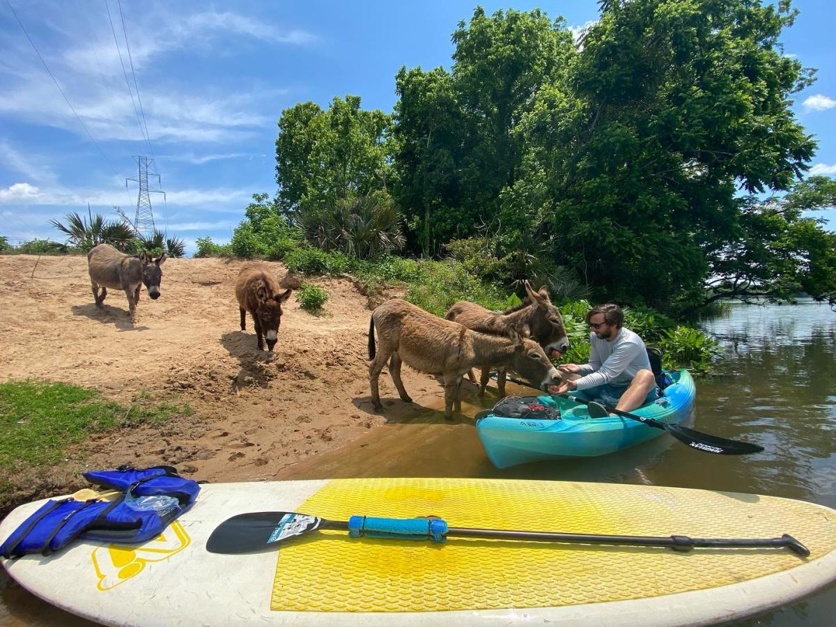 Summer Bucket List: 10 Things to Do in Augusta, GA | Visit Augusta