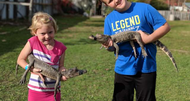 Spring Release at Critchlow Alligator Sanctuary