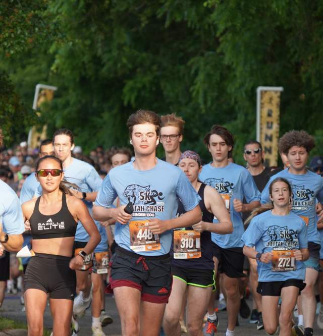 Cheetah Chase 5k