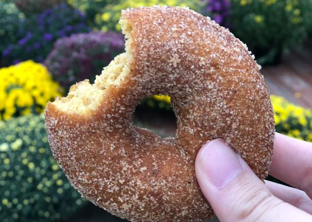 Best Fall Treats in Calhoun County