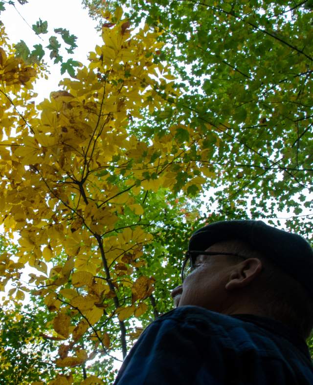 Hike around Calhoun County