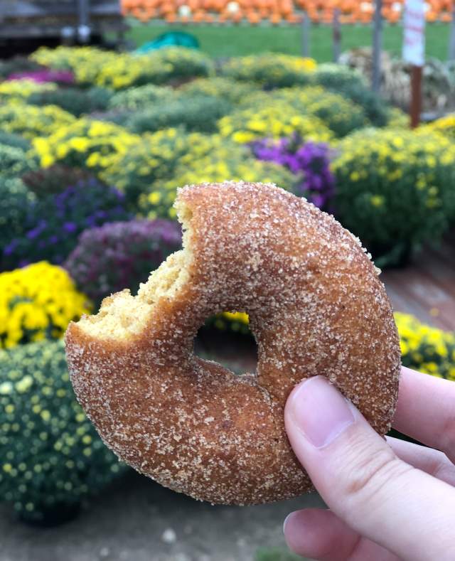Best Fall Treats in Calhoun County