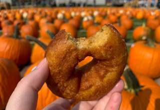 Make Station 66 part of your fall tradition