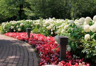 Kellogg House Gardens