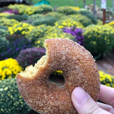 Fall means sweet treats in Calhoun County