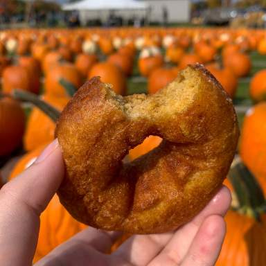 Make Station 66 part of your fall tradition