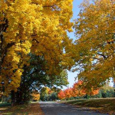 Happy first week of fall!