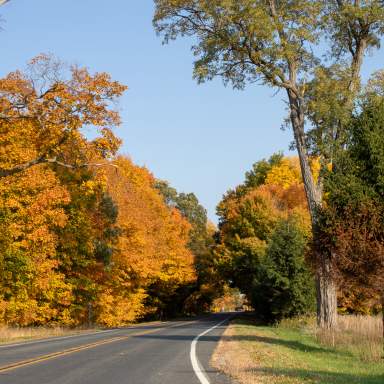 It’s time for a color tour