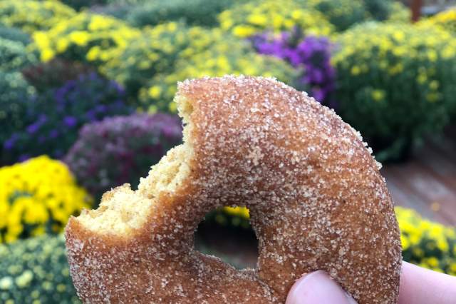 Fall means sweet treats in Calhoun County