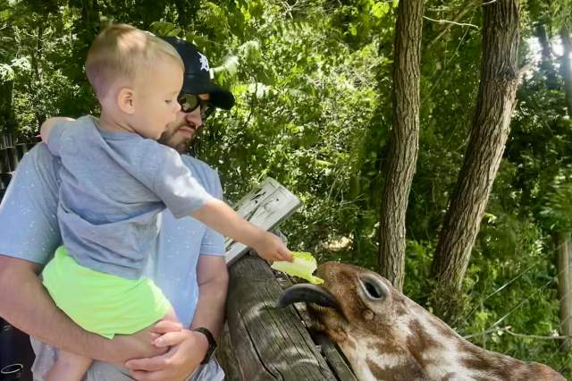 Plan a trip with Toddlers
