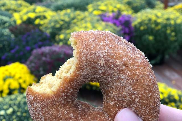 Fall means sweet treats in Calhoun County