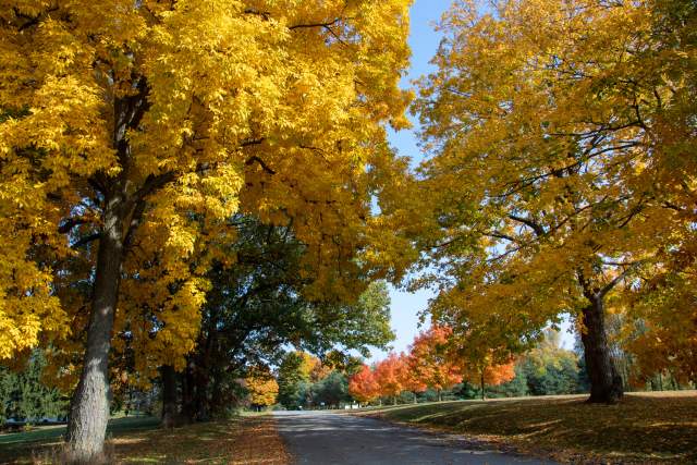 Happy first week of fall!