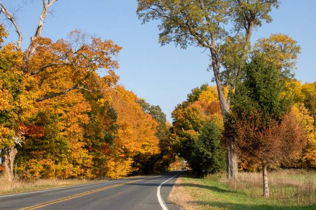 It’s time for a color tour