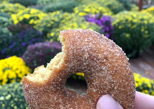Fall means sweet treats in Calhoun County