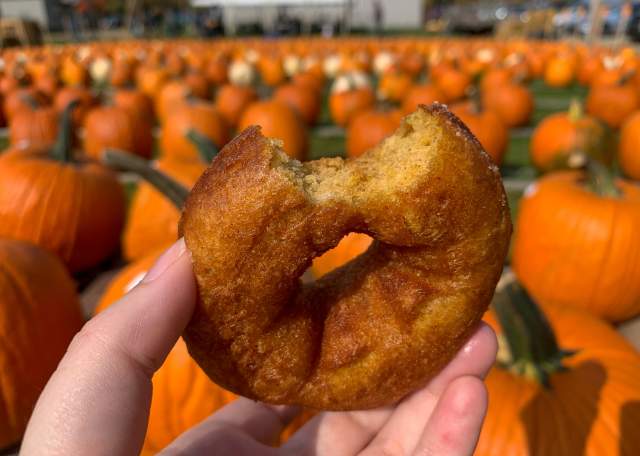 Make Station 66 part of your fall tradition