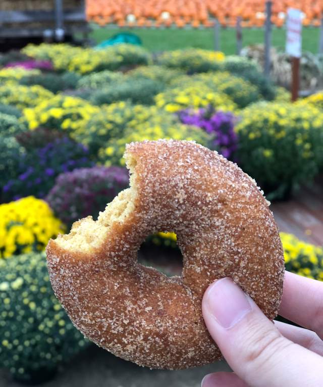 Fall means sweet treats in Calhoun County