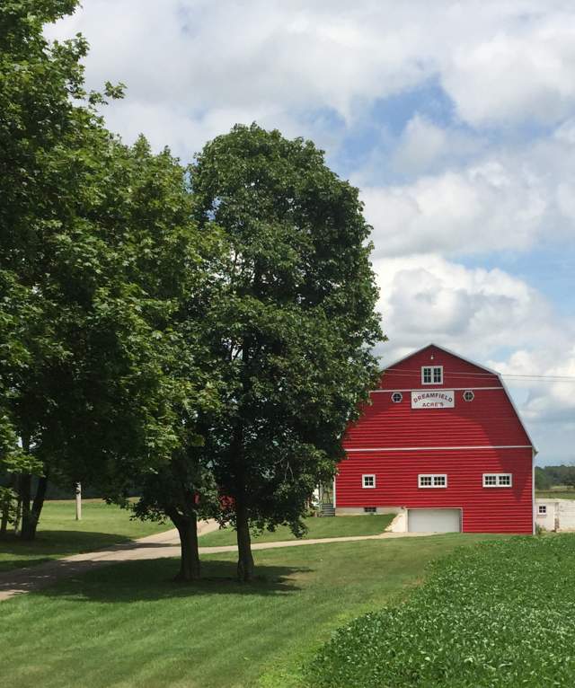 Cool wedding venues for any time of year