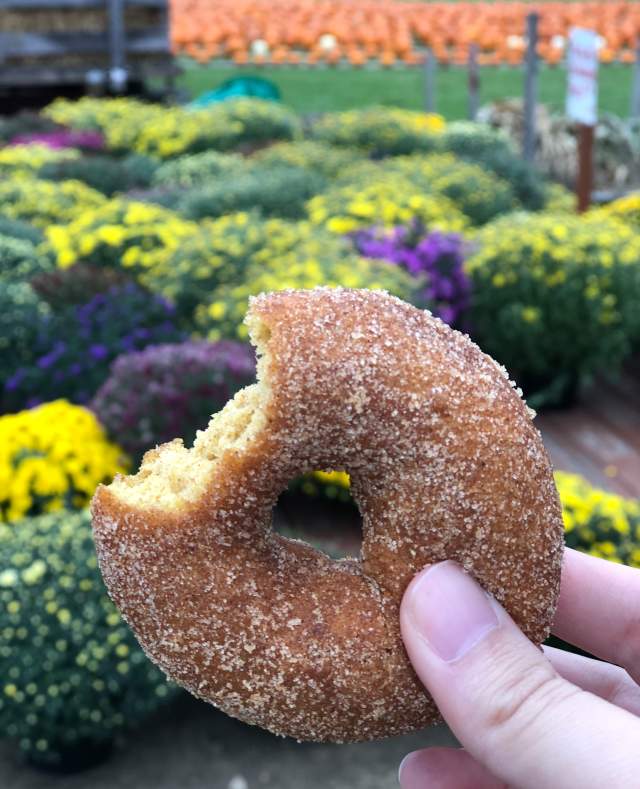 Fall means sweet treats in Calhoun County