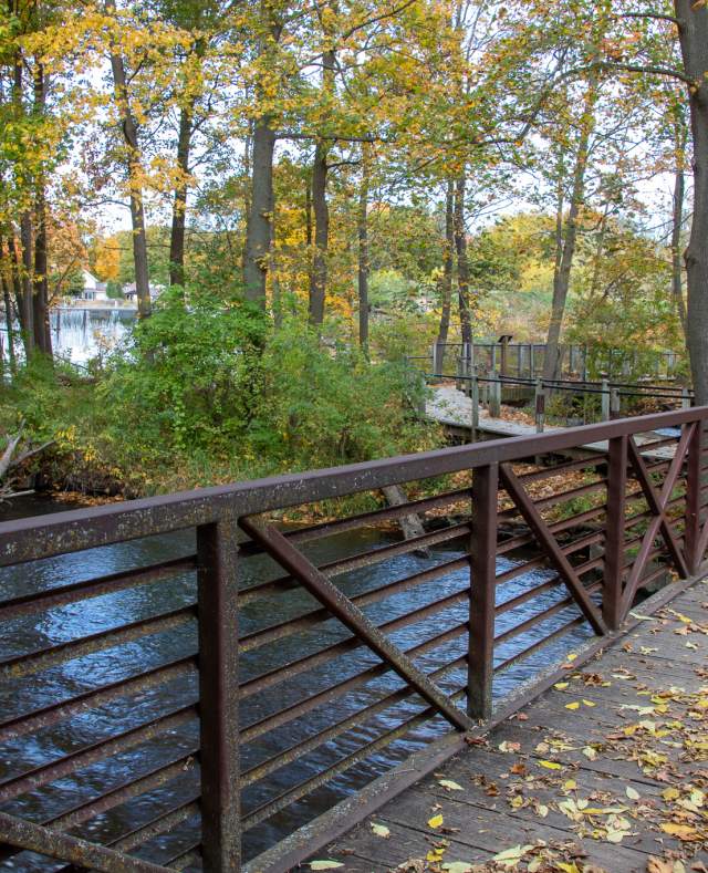 Enjoy fall colors on the bike trail