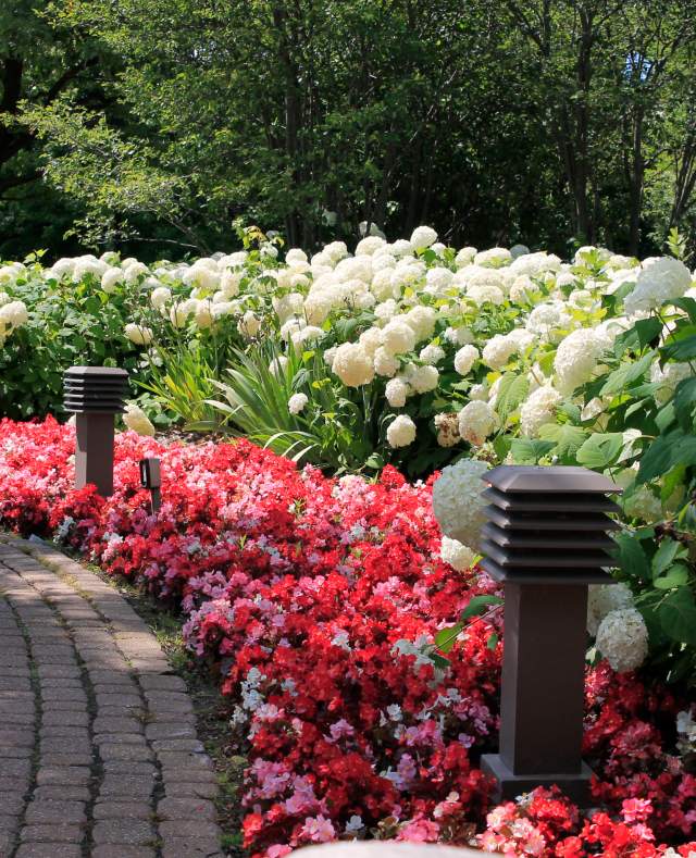Kellogg House Gardens