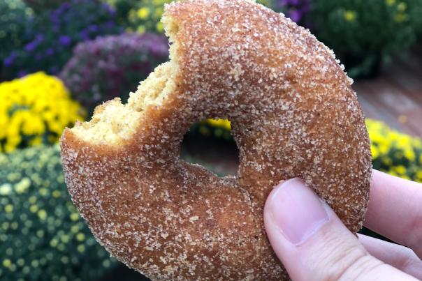 A sugar doughnut at Station 66.