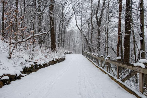 The Calhoun County Trailway in winter.