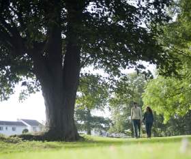 Moira Demesne