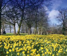 Barnett Demesne
