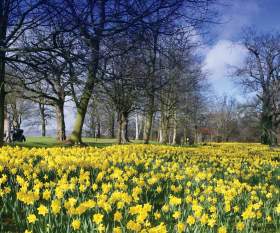 Barnett Demesne