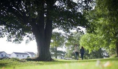 Moira Demesne