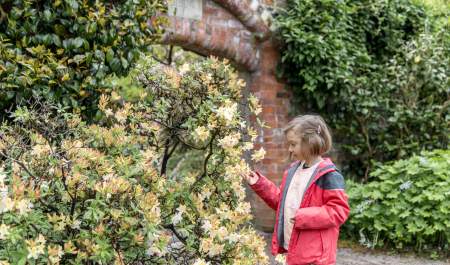 Rowallane Garden