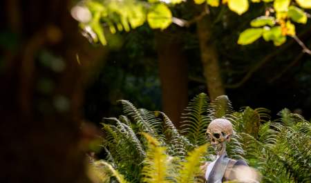 Frightful Fernery - Halloween Trail at Mount Stewart
