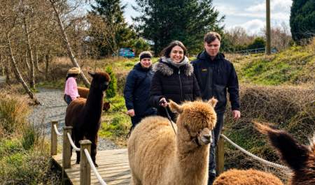 Trek & Treat: Family Halloween Alpaca Trekking & Bouncy Castle Experience
