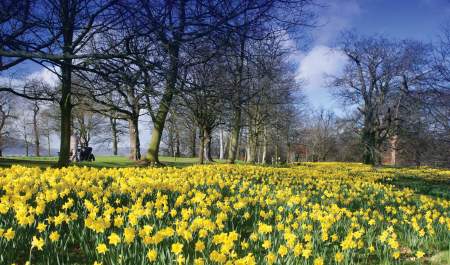 Barnett Demesne