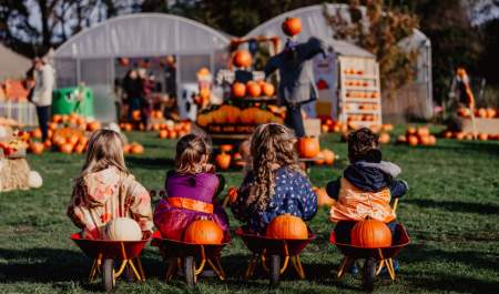 Halloween Pumpkin Patch 2026