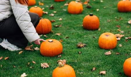Pumpkin Patch at Castle Kitchen + Bar