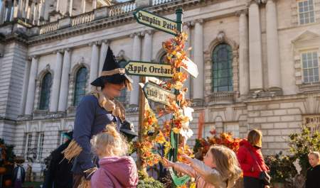 Belfast One Pumpkin Patch