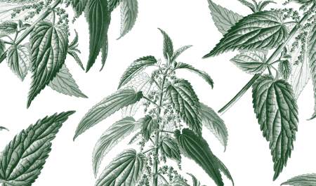 Whiskey Tasting in the Jeggy Nettle: Irish Styles of the 1970s