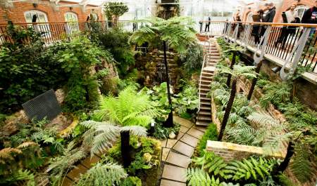 The Tropical Ravine at Botanic Gardens