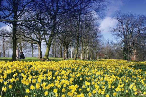 Barnett Demesne