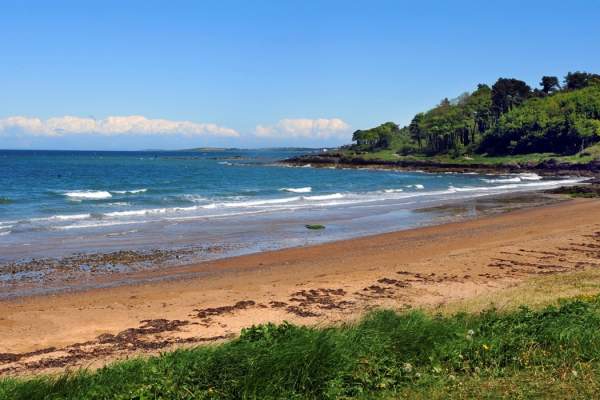Crawfordsburn Country Park