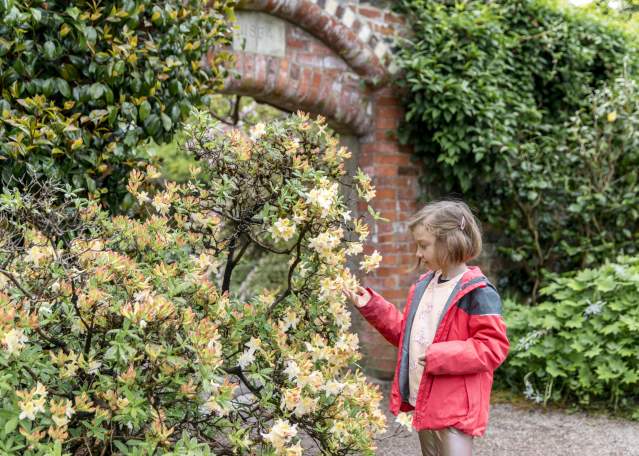 Rowallane Garden