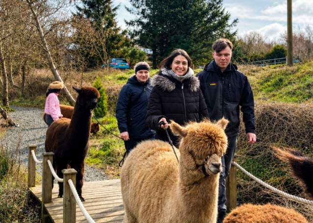 Trek & Treat: Family Halloween Alpaca Trekking & Bouncy Castle Experience