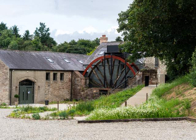 Capparelli at the Mill