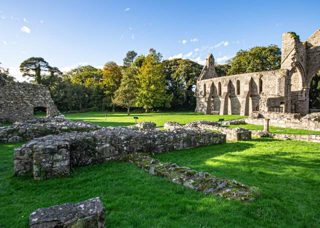 Gothic Abbey and Physic Garden Tour
